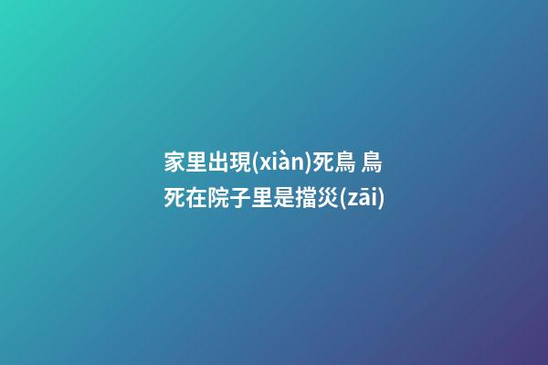 家里出現(xiàn)死鳥 鳥死在院子里是擋災(zāi)